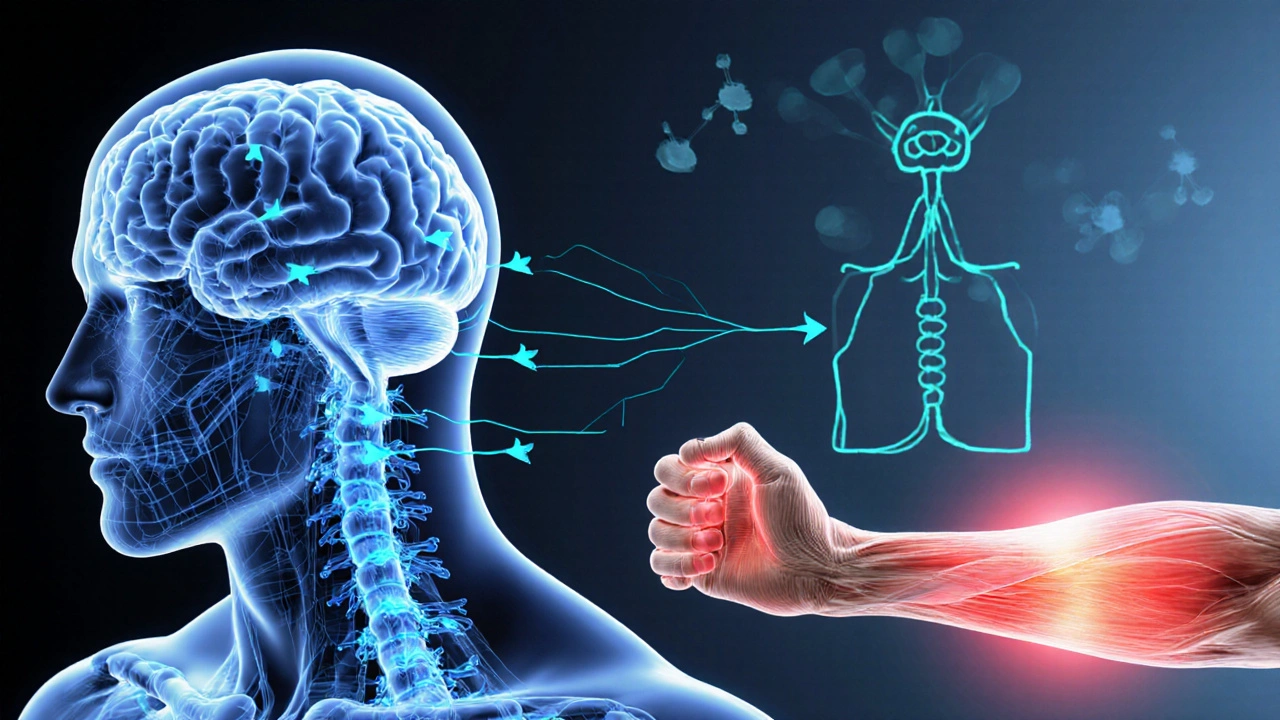 How Spastic Muscle States Affect Mental Health